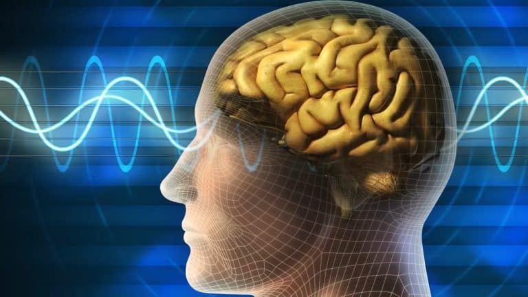 Nootropic Benefits: A Guide to Safe and Effective Use