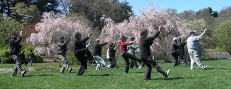 Benefits of Tai Chi in the elderly