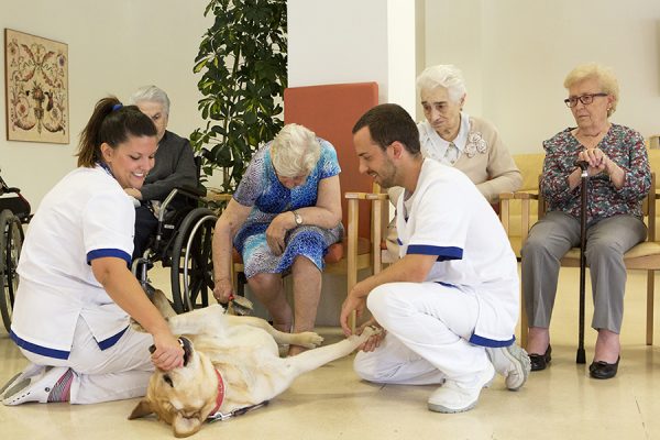 Animal-assisted therapy in nursing homes