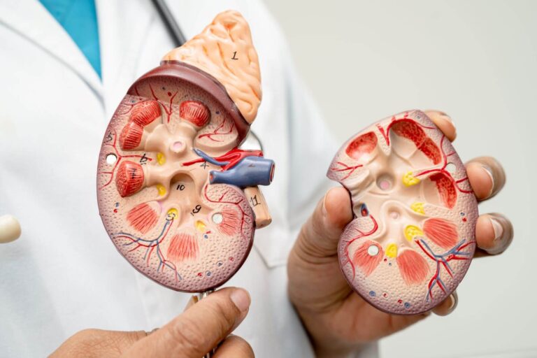 Kidney failure in elderly people over 90 years old