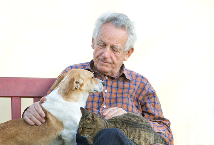 Benefits of animal therapy for older people