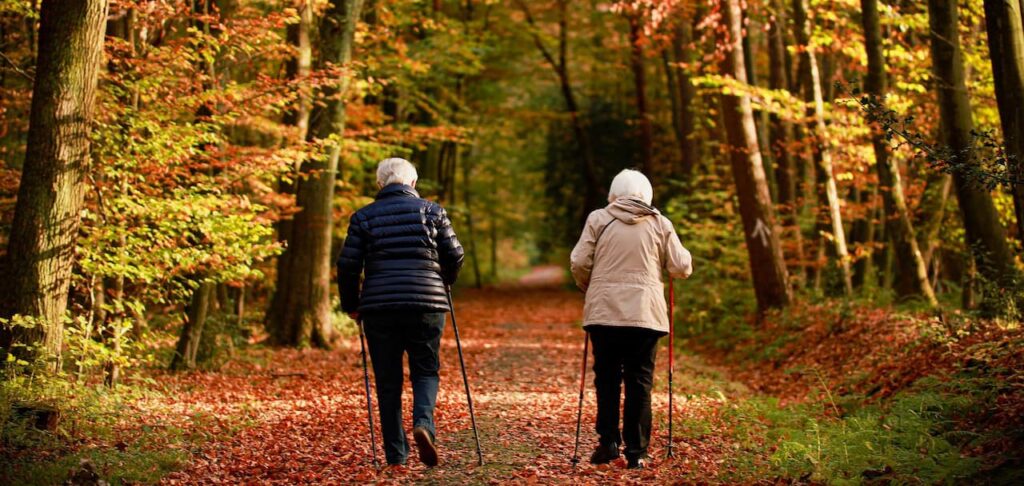 holistic healing for seniors forest